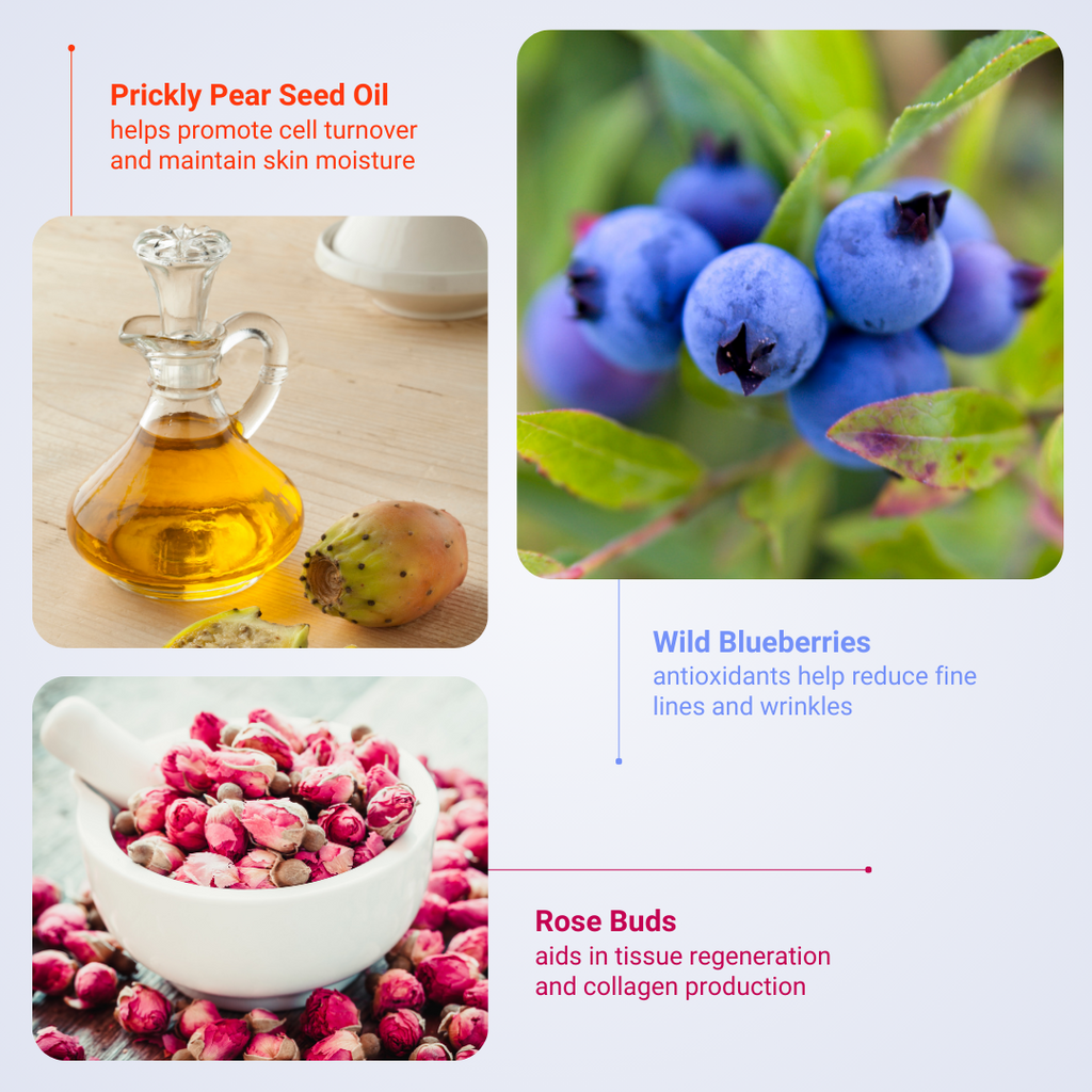 Prickly Pear Seed Oil, Rose Buds, and Wild Blueberries are the ingredients that benefit the user most