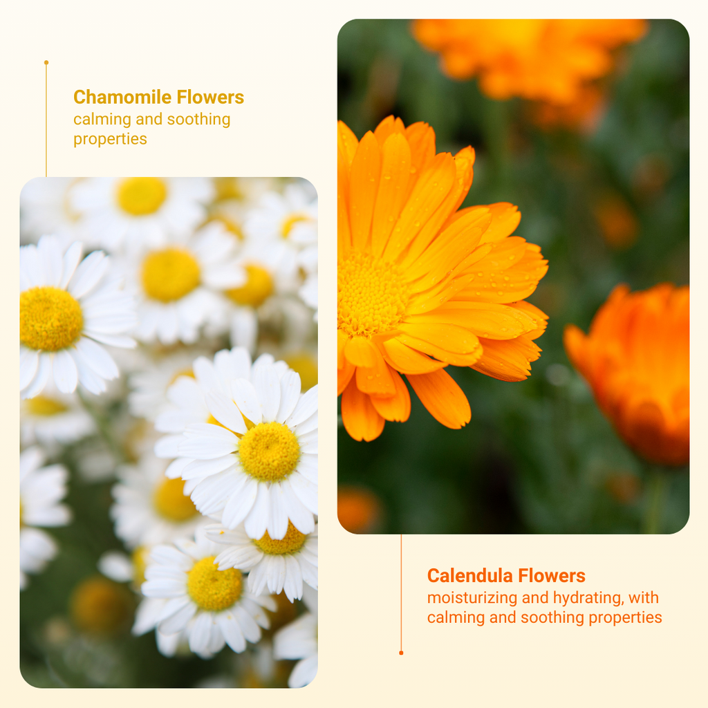 Chamomile Flowers and Calendula Flowers are the ingredients that benefit the user most