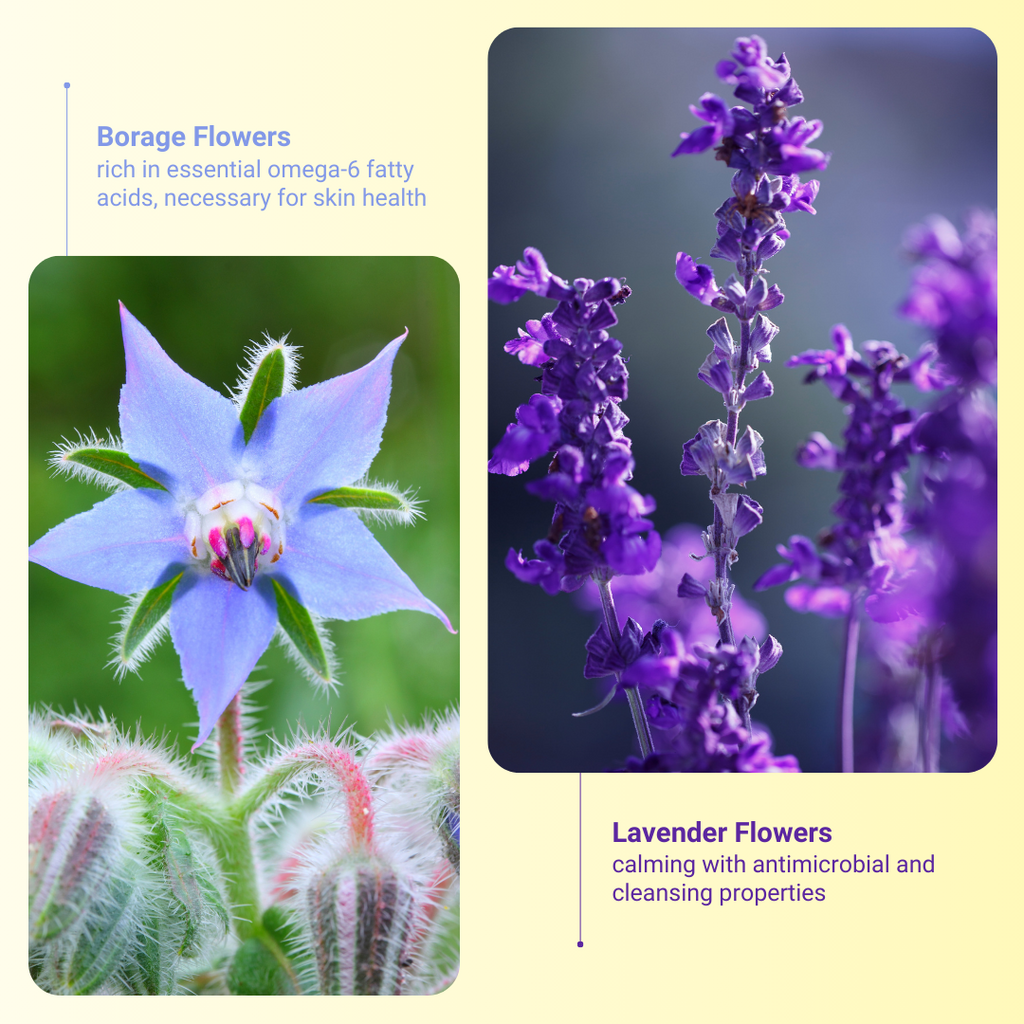 Borage Flowers and Lavender Flowers are the ingredients that benefit the user most