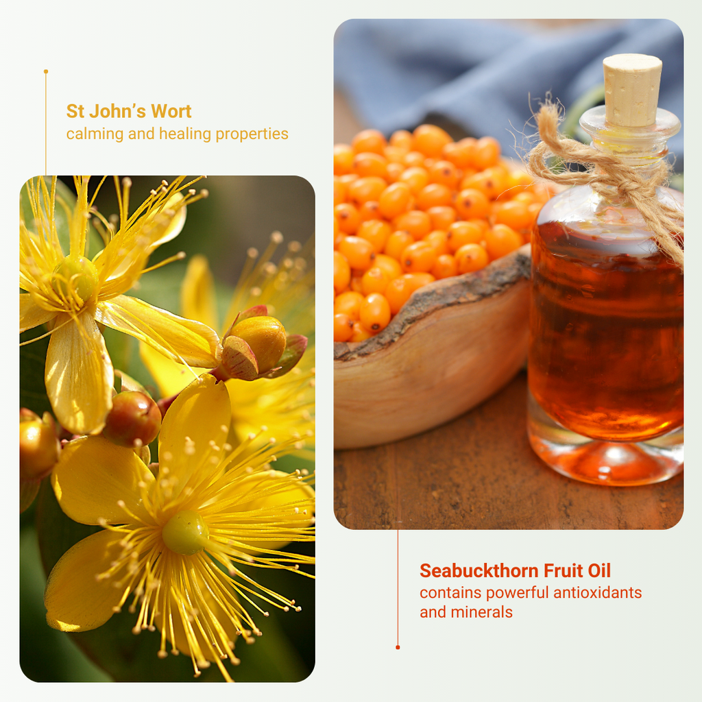 St. John's Wort and Seabuckthorn Fruit Oil are the ingredients that benefit the user most