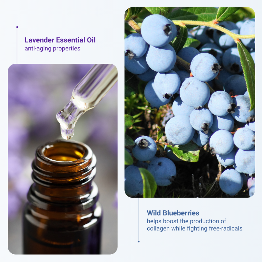 Lavender Essential Oil and Wild Blueberries are the ingredients that benefit the user most