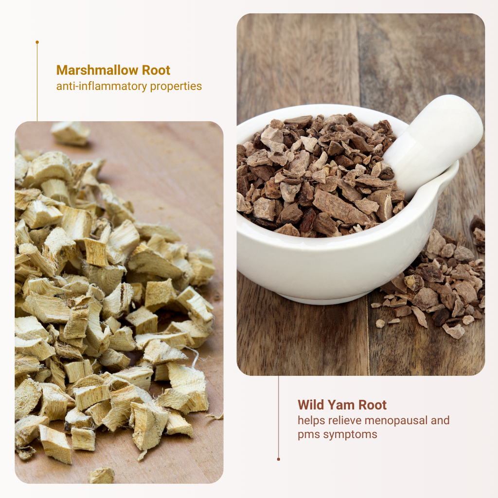 Marshmallow Root and Wild Yam Root are the ingredients that benefit the user most